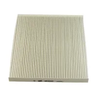 WP2120 фільтр салону