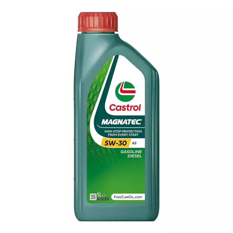 Моторна олива Castrol Magnetec Professional 5W-30 1 л (15533B)